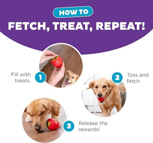 Outward Hound Dental Asparagus Treat-Dispensing Dental Dog Chew Toy, Medium, Green in Kuwait