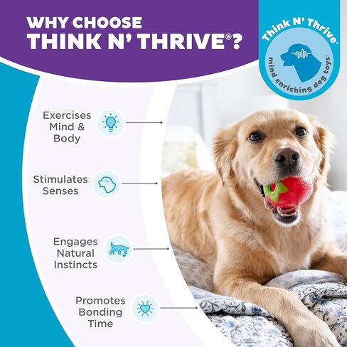 Outward Hound Dental Asparagus Treat-Dispensing Dental Dog Chew Toy, Medium, Green in Kuwait