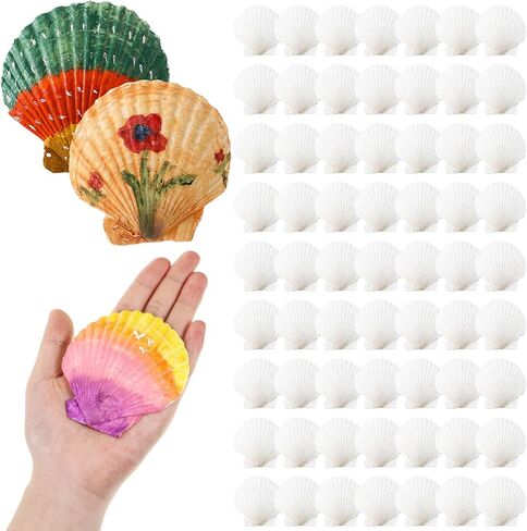 100 Pcs Sea Shell for Crafting Natural Large Scallop Shells White Oyster Shells Bulk for Decorating DIY Home Beach Wedding Ocean Themed Party Baking Shells for Serving Food (1.97''-2.76'') in Saudi Arabia