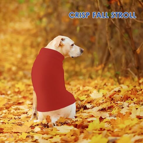 Dog Fleece Vest - Purple, S - Warm and Stretchable Sweatshirt | Sleeveless Lightweight Sweater, Pullover Design for Small Dogs, Chihuahua Clothes, Papillon, Pomeranian in Kuwait