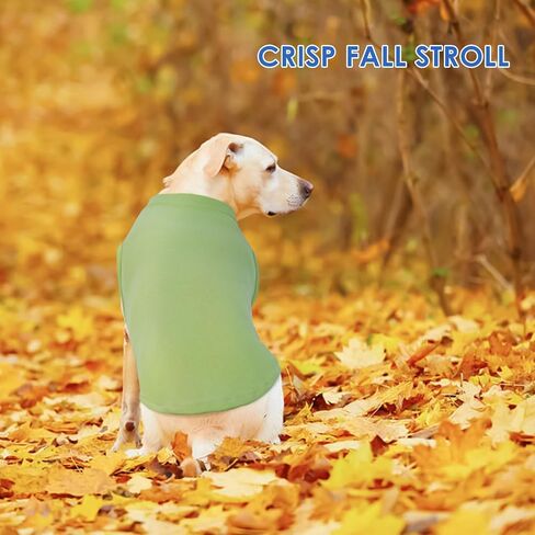Dog Fleece Vest - Purple, S - Warm and Stretchable Sweatshirt | Sleeveless Lightweight Sweater, Pullover Design for Small Dogs, Chihuahua Clothes, Papillon, Pomeranian in Kuwait