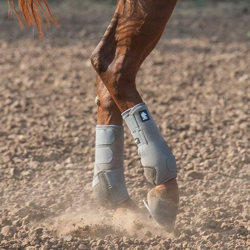Classic Equine Legacy2 Hind Support Boots, Blush, Medium in Kuwait
