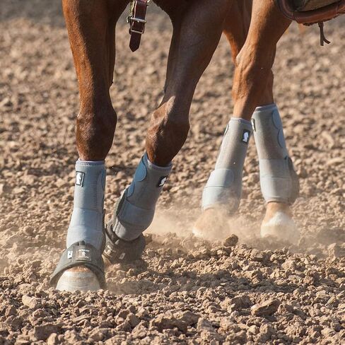 Classic Equine Legacy2 Hind Support Boots, Blush, Medium in Kuwait