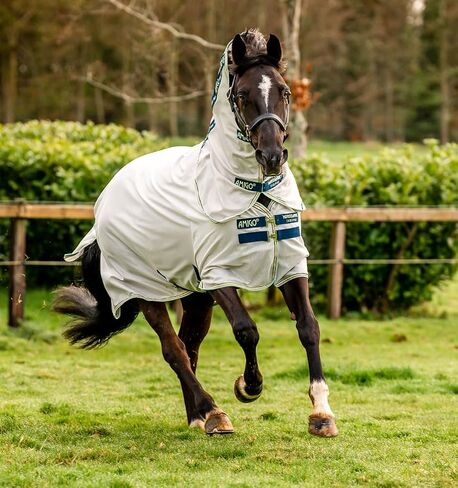 Horseware® Amigo® Bug Rug Fly Sheet (0g Light) in Saudi Arabia