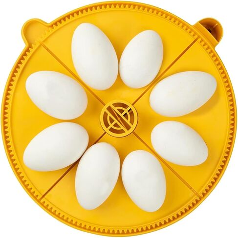 Brinsea Products Maxi Advance Incubator Extra Large Egg Quadrants Insert (8 Goose Eggs), Yellow in Kuwait