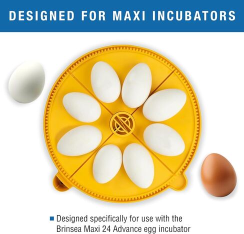 Brinsea Products Maxi Advance Incubator Extra Large Egg Quadrants Insert (8 Goose Eggs), Yellow in Kuwait