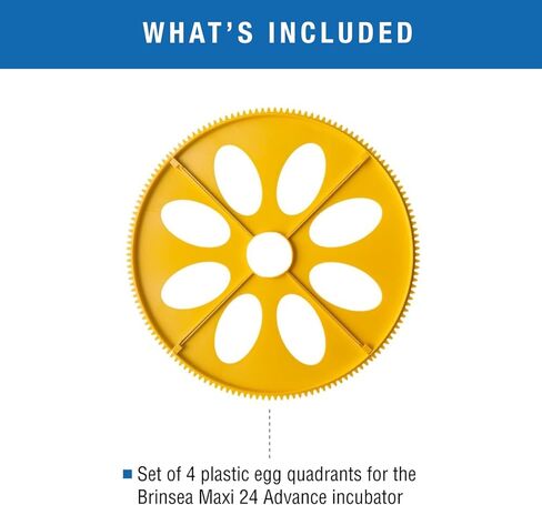 Brinsea Products Maxi Advance Incubator Extra Large Egg Quadrants Insert (8 Goose Eggs), Yellow in Kuwait