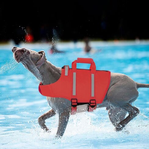 Queenmore Dog Life Jacket,Dog Life Vest for Swimming,Small Dog Swim Vest,Lightweigth Adjustable Reflective Puppy Pet Float Life Preserver Vest with Back Zip,Rescue Handle,Metal Hook (Green S) in Kuwait