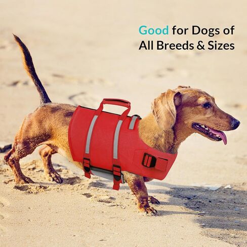 Queenmore Dog Life Jacket,Dog Life Vest for Swimming,Small Dog Swim Vest,Lightweigth Adjustable Reflective Puppy Pet Float Life Preserver Vest with Back Zip,Rescue Handle,Metal Hook (Green S) in Kuwait