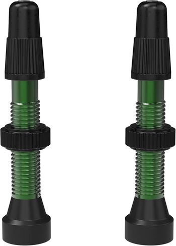 WTB Tcs Al Orange Presta Valve 34mm 2Pcs (W095-0061) in Kuwait