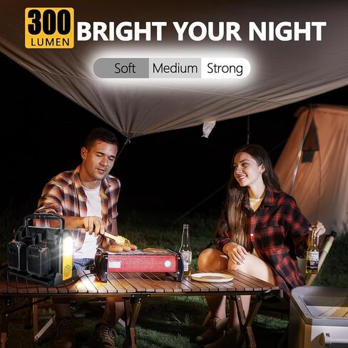 350W Portable Power Supply Inverter Power Adapter for Dewalt 20V MAX Li-ion Battery DC 20V to AC 120V Converter with AC Output, USB Port, Type-C Port, 300LM LED Light for Camping Emergency in Saudi Arabia