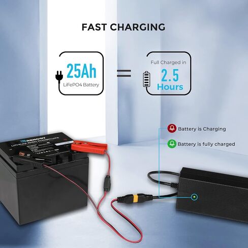 Renogy 12V 20A AC-to-DC شاحن بطارية محمول التوصيل والتشغيل مع مقاطع التمساح 12AWG لبطاريات فوسفات الليثيوم والحديد in Kuwait