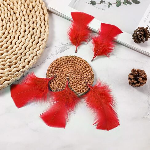 Soarer Colorful Craft Turkey Feathers - 300pcs 3-5inch Colored Feathers for Kindergarten DIY Crafts,Wedding Home Party Decorations,Dream Catcher Supplies(Turkey Colorful) in Saudi Arabia