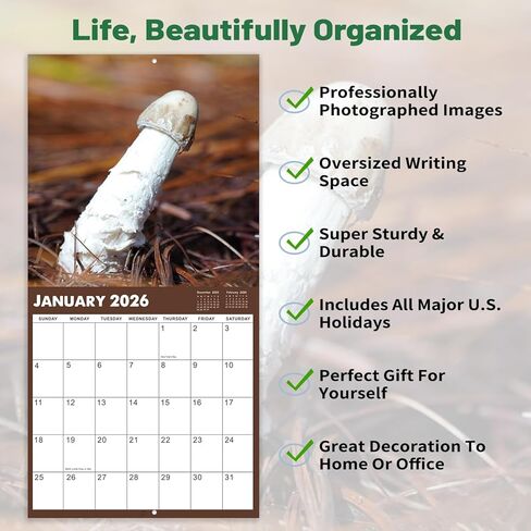 2025 Wall Calendar - Natures Dongs Calendar 2025, January 2025 - December 2025, 12" x 24" (Open), White Elephant Gifts For Adults, Hanging Hook, Block and Holidays - Funny Gag Gift D'ck Pics in Nature in Saudi Arabia