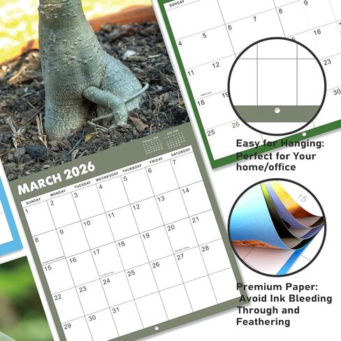 2025 Wall Calendar - Natures Dongs Calendar 2025, January 2025 - December 2025, 12" x 24" (Open), White Elephant Gifts For Adults, Hanging Hook, Block and Holidays - Funny Gag Gift D'ck Pics in Nature in Saudi Arabia