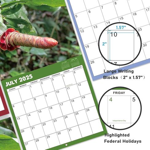 2025 Wall Calendar - Natures Dongs Calendar 2025, January 2025 - December 2025, 12" x 24" (Open), White Elephant Gifts For Adults, Hanging Hook, Block and Holidays - Funny Gag Gift D'ck Pics in Nature in Saudi Arabia
