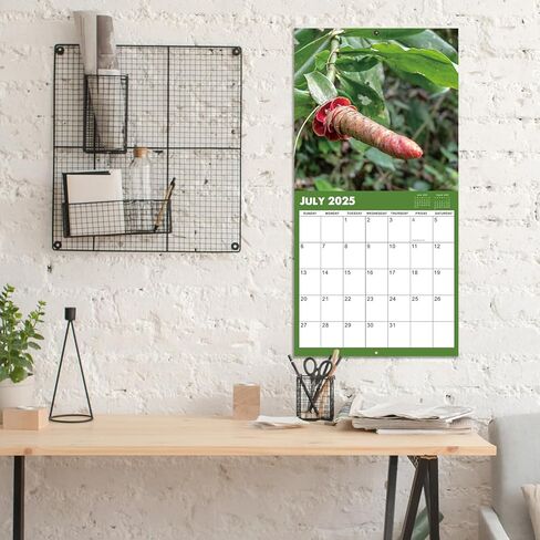 2025 Wall Calendar - Natures Dongs Calendar 2025, January 2025 - December 2025, 12" x 24" (Open), White Elephant Gifts For Adults, Hanging Hook, Block and Holidays - Funny Gag Gift D'ck Pics in Nature in Saudi Arabia