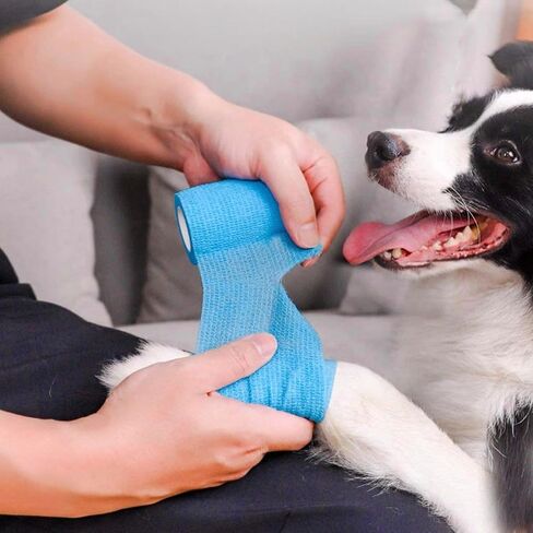 24 Pack Self Adhesive Bandage Wrap, 2" x 5 Yards Multicolor Breathable Elastic Bandage Wrap for People & Pets - Athletic Elastic Cohesive Bandage for Sports Injury: Ankle, Knee & Wrist sprains in Saudi Arabia