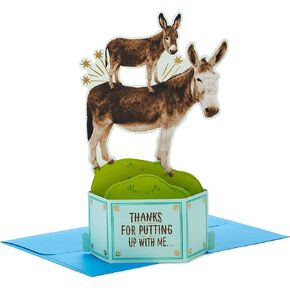 Hallmark Paper Wonder Shoebox Funny Pop Up Card (Big Dill) for Birthdays, Graduation, Congratulations