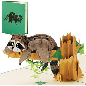 Raccoon Pop Up Card - 6x12 Inch Birthday Greeting Card, 3D Popup Racoon Card Design - Attractive & Adorable Perfect For Animal Lovers - Birthday Gift Card for Girls and Boys, Paper Gifts