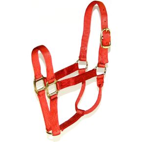 Hamilton 1-Inch Nylon Quality Halter for 1100 to 1600-Pound Horse, Large, Lavender