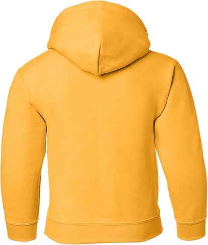 UGP Campus Apparel AH02 - Michigan Wolverines Primary Logo Hoodie - X-Large - Navy in Saudi Arabia