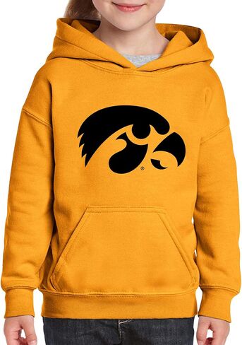 UGP Campus Apparel AH02 - Michigan Wolverines Primary Logo Hoodie - X-Large - Navy in Saudi Arabia