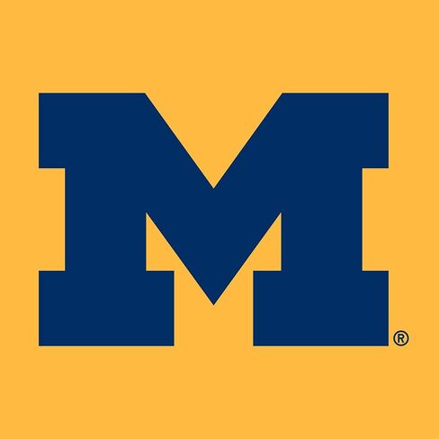UGP Campus Apparel AH02 - Michigan Wolverines Primary Logo Hoodie - X-Large - Navy in Saudi Arabia