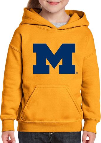 UGP Campus Apparel AH02 - Michigan Wolverines Primary Logo Hoodie - X-Large - Navy in Saudi Arabia
