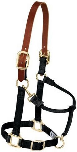 رسن حصان من النايلون قابل للتعديل من ويفر جلد، كبير، أسود in Kuwait