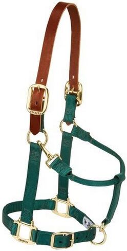 Weaver Leather Nylon Adjustable Breakaway Horse Halter, Large, Black in Saudi Arabia