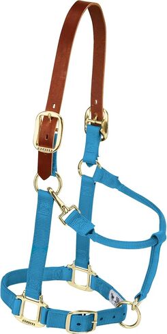 Weaver Leather Nylon Adjustable Breakaway Horse Halter, Large, Black in Saudi Arabia