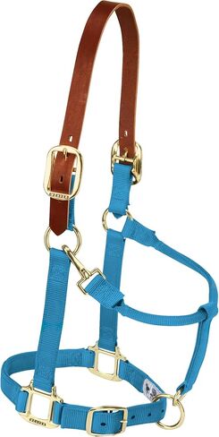 Weaver Leather Nylon Adjustable Breakaway Horse Halter, Large, Black in Saudi Arabia