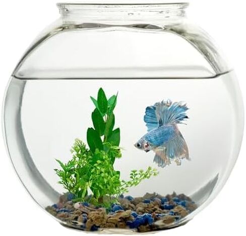 Koller Products 1 Gallon Fish Bowl - Impact-Resistant Plastic in Saudi Arabia