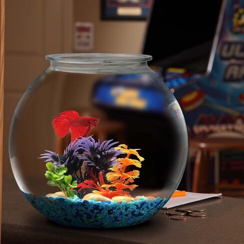 Koller Products 1 Gallon Fish Bowl - Impact-Resistant Plastic in Saudi Arabia