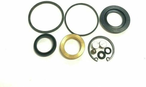 ARKO 123465C1 132554 224712C1 A47038 HG50000007 توجيه صمام التحكم في SEAL SEAL ATT PRESSION FOR CASE 464 574 674 666 686 766 866 1066 1466 1468 1566 1086 1486 1586 in Saudi Arabia