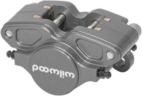 Wilwood 120-16888 GP200 Caliper, 3/8-24 inlet 1.25" Pistons, .25" Disc in Saudi Arabia