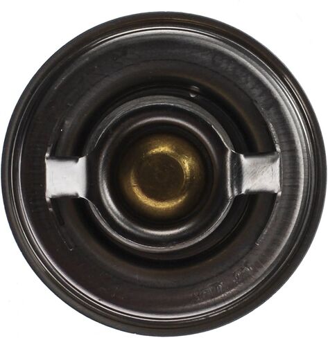 Behr Thermot-Tronik TX 3 79D إدراج ترموستات in Kuwait