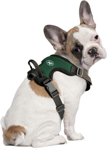 Littlearth Unisex-Adult NFL Houston Texans Front Clip Pet Harness, Team Color, Small in Saudi Arabia