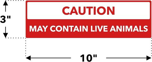 Custom Bumper Stickers for Cars - Personalized Bumper Stickers for Cars, Trucks and Other Vehicles - 3" x 10" (1-1000 Stickers) (Custom) in Saudi Arabia