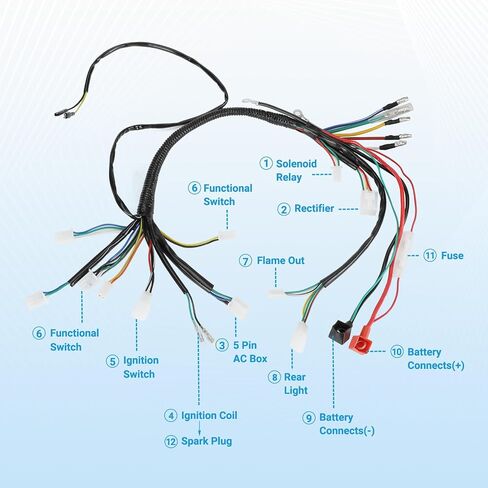 Electric Wiring Harness Kit Compatible with Taotao Coolster 110cc 125cc Chinese ATV Quad 4 Wheeler 4-Stroke Parts with Starter Solenoid Relay Ignition Coil Voltage Regulator CDI Box Spark Plug in Saudi Arabia
