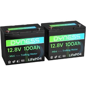 12V 100AH LIFEPO4 Lithium Lithium Battery (2 Pack) BCI Group 31 مع حماية منخفضة الإيقاع ، وخلايا خلوية من الدرجة+ 100A BMS ، وبطارية ليثيوم 12 فولت مثالية لنظام RV ، ونظام الطاقة الشمسية ، والشبكة المنزلية ، والطاقة المنزلية in Kuwait