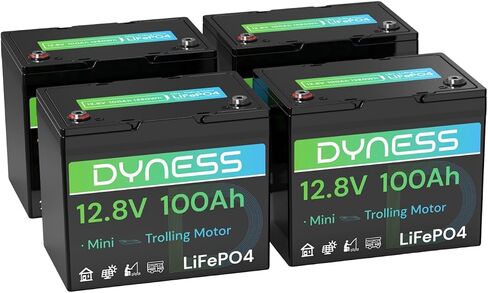 12V 100AH LIFEPO4 Lithium Lithium Battery (2 Pack) BCI Group 31 مع حماية منخفضة الإيقاع ، وخلايا خلوية من الدرجة+ 100A BMS ، وبطارية ليثيوم 12 فولت مثالية لنظام RV ، ونظام الطاقة الشمسية ، والشبكة المنزلية ، والطاقة المنزلية in Saudi Arabia