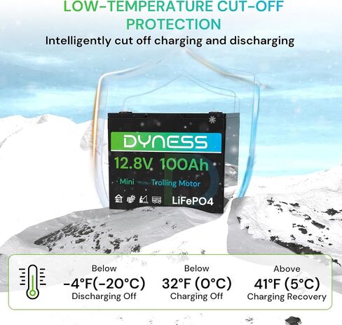 12V 100AH LIFEPO4 Lithium Lithium Battery (2 Pack) BCI Group 31 مع حماية منخفضة الإيقاع ، وخلايا خلوية من الدرجة+ 100A BMS ، وبطارية ليثيوم 12 فولت مثالية لنظام RV ، ونظام الطاقة الشمسية ، والشبكة المنزلية ، والطاقة المنزلية in Kuwait
