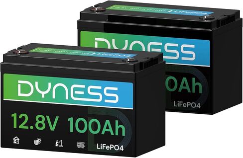 12V 100AH LIFEPO4 Lithium Lithium Battery (2 Pack) BCI Group 31 مع حماية منخفضة الإيقاع ، وخلايا خلوية من الدرجة+ 100A BMS ، وبطارية ليثيوم 12 فولت مثالية لنظام RV ، ونظام الطاقة الشمسية ، والشبكة المنزلية ، والطاقة المنزلية in Saudi Arabia