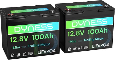 12V 100AH LIFEPO4 Lithium Lithium Battery (2 Pack) BCI Group 31 مع حماية منخفضة الإيقاع ، وخلايا خلوية من الدرجة+ 100A BMS ، وبطارية ليثيوم 12 فولت مثالية لنظام RV ، ونظام الطاقة الشمسية ، والشبكة المنزلية ، والطاقة المنزلية in Kuwait