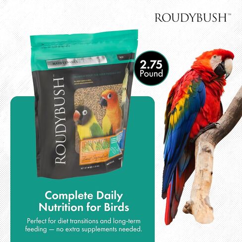 Rodybush نظام غذائي كبير للطيور، صغير، 44 أونصة in Kuwait