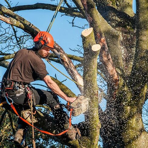 Tree Climbing Gear，Tree Climbing Spikes, Tree Climbing Gear with Adjustable Climbing Straps and Steel Core Flip Line, Rock Climbing Kit with Triple Lock Lanyard Adjuster. in Saudi Arabia