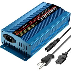 24V 8Amp Battery Charger, Automatic Smart Lead-Acid Battery Trickle Charger Maintainer with XLR Connector for Wheelchair, Sealed AGM Battery,Car Boat,Lawn Mower, Scooter and Motorcycle eBike