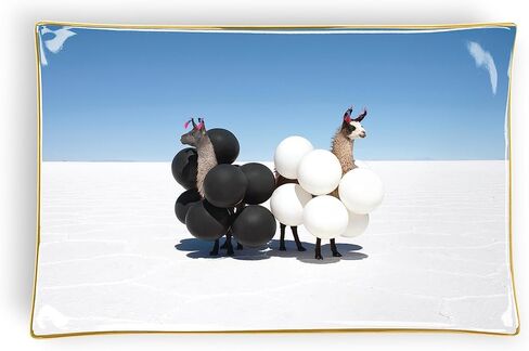 Galison Gray Malin Llamas Porcelain Tray in Saudi Arabia